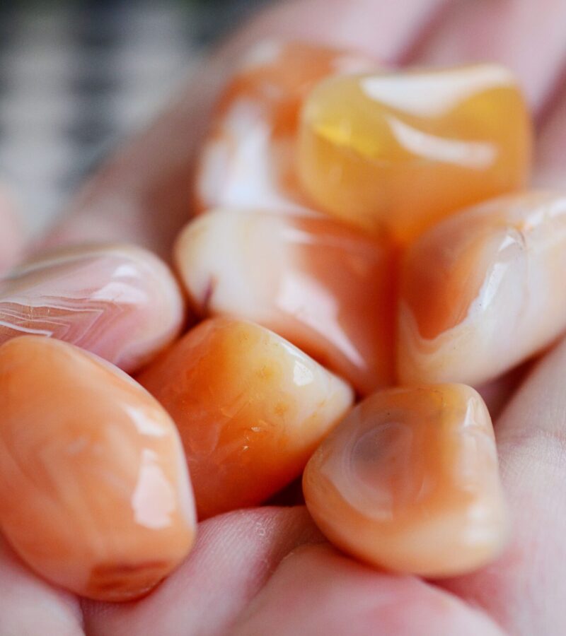 AdobeStock_317236843