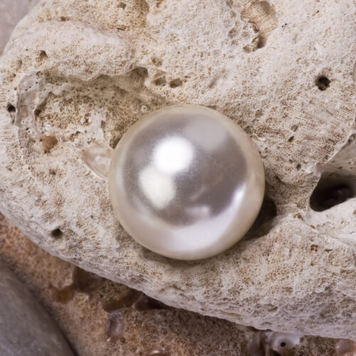 Pearl on coral rocks.